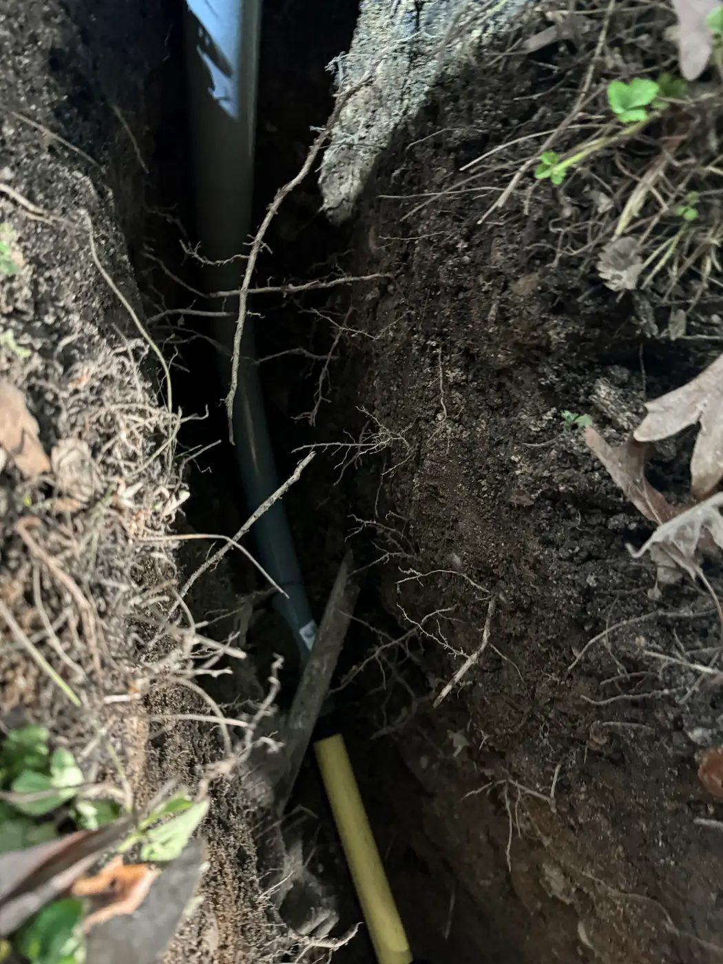 Narrow open trench with black and yellow pipe running through soil and roots